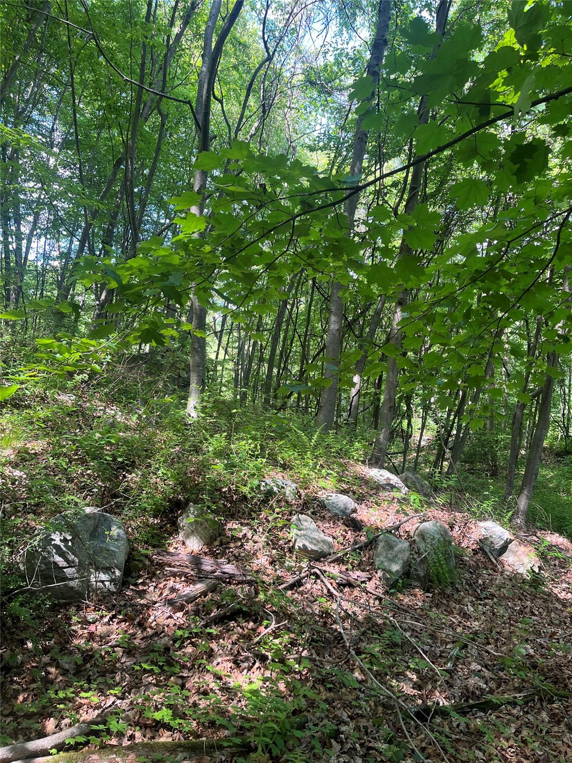 Old Church Road, Putnam Valley, New York image 13