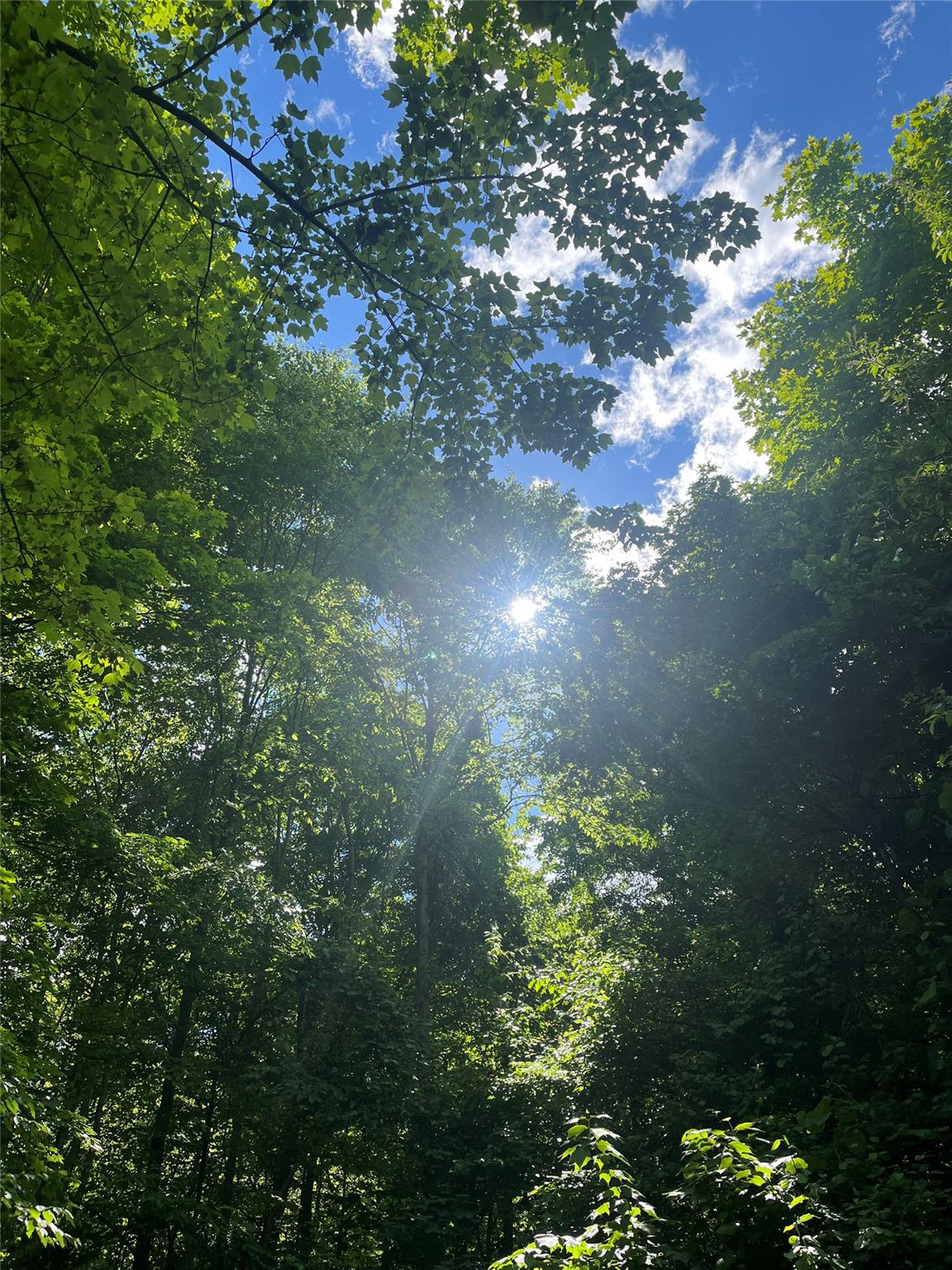 Old Church Road, Putnam Valley, New York image 2