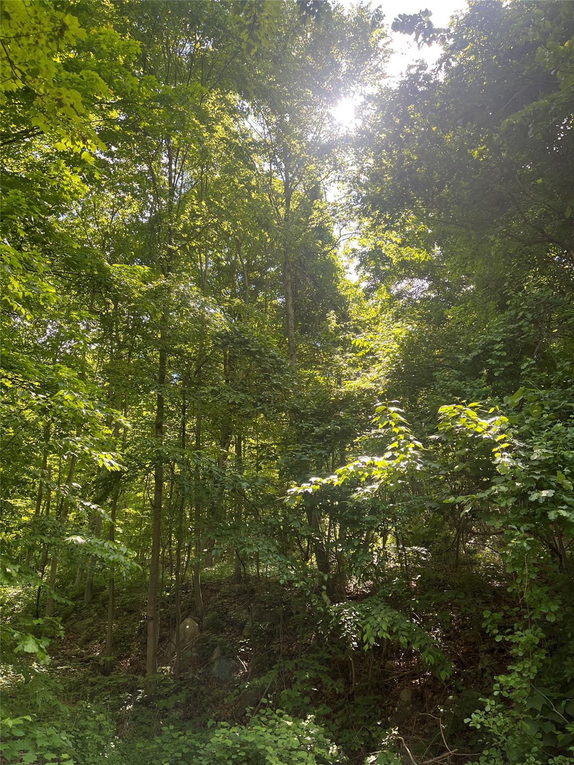 Old Church Road, Putnam Valley, New York image 27
