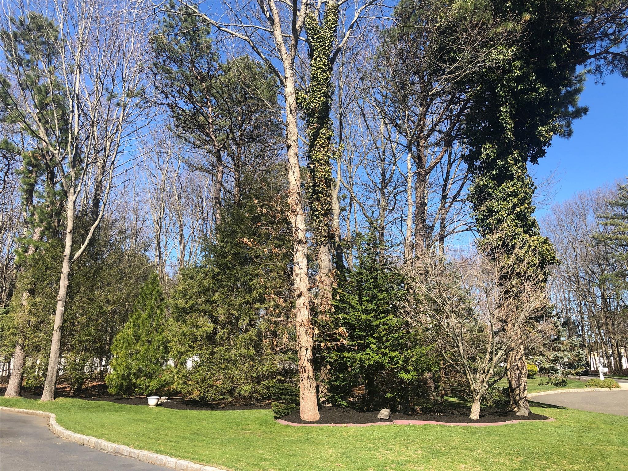7 Palace Court, Manorville, New York image 5