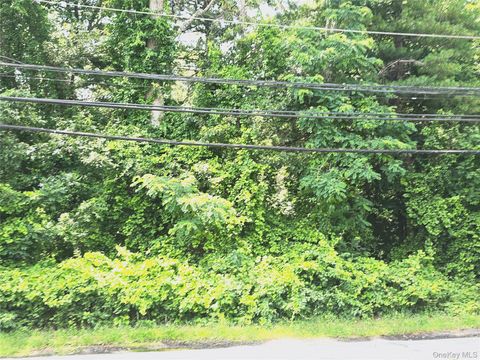 Vacant Land For Sale - VL Yaphank-middle Island Road<br/> Yaphank, NY 11980