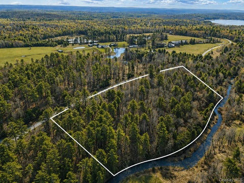 Vacant Land For Sale - Chapin Trail<br/> White Lake, NY 12786