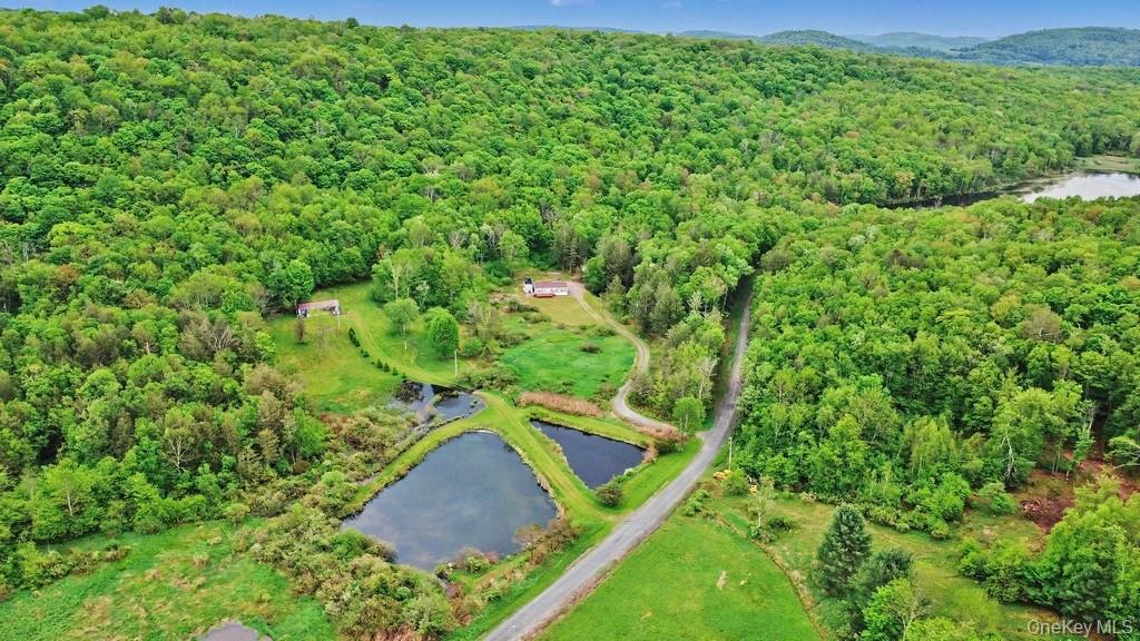 308 William Brown Road