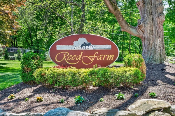 204 AUTUMN LN, BREWSTER, NY 10509 - Image a1edc029c07fcde4af121ee70fec4f6f/3169782837