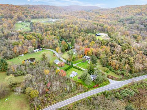 1 Hoyt Road Wingdale NY 12594