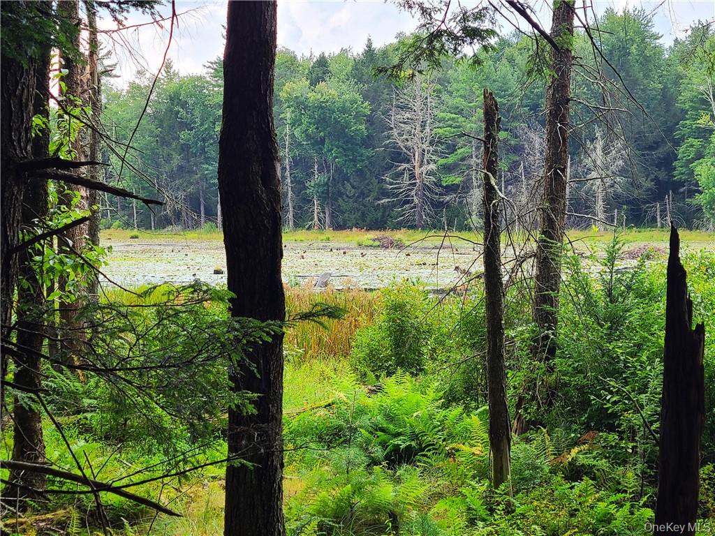 Lot 23 Deer Meadow Road