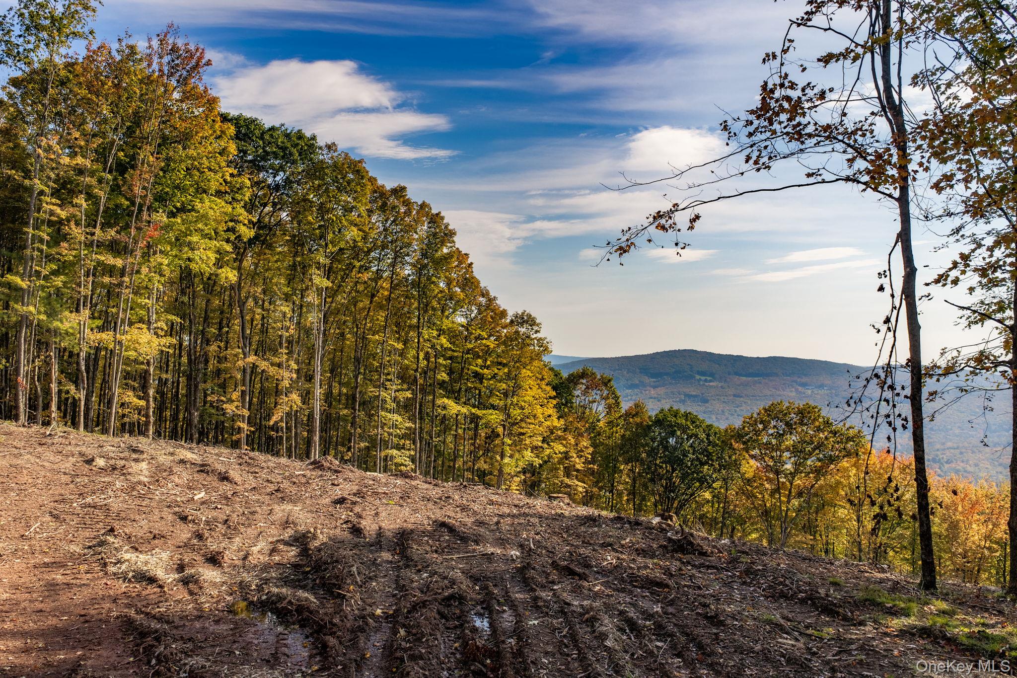 114 Skyline Drive