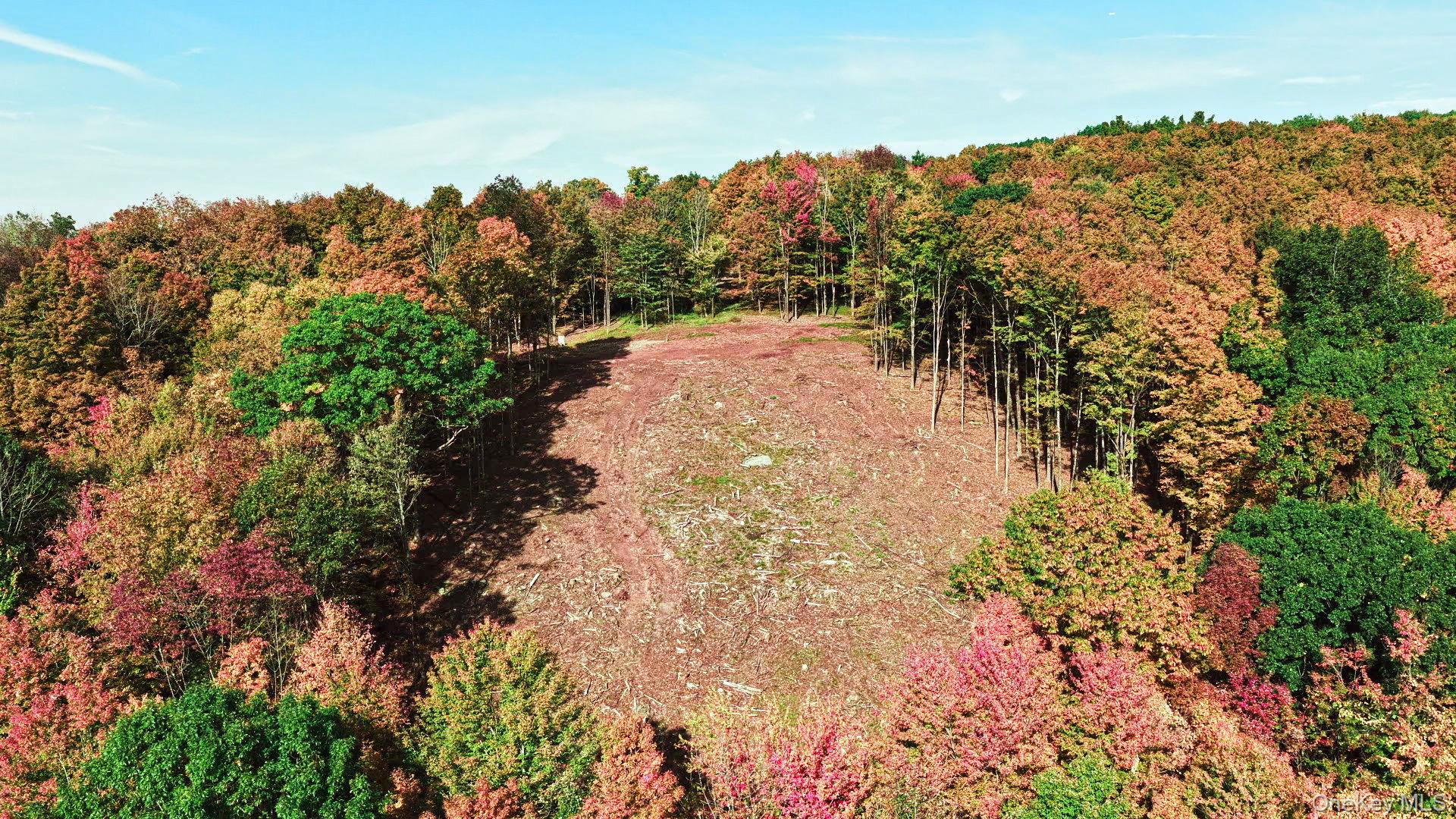 114 Skyline Drive