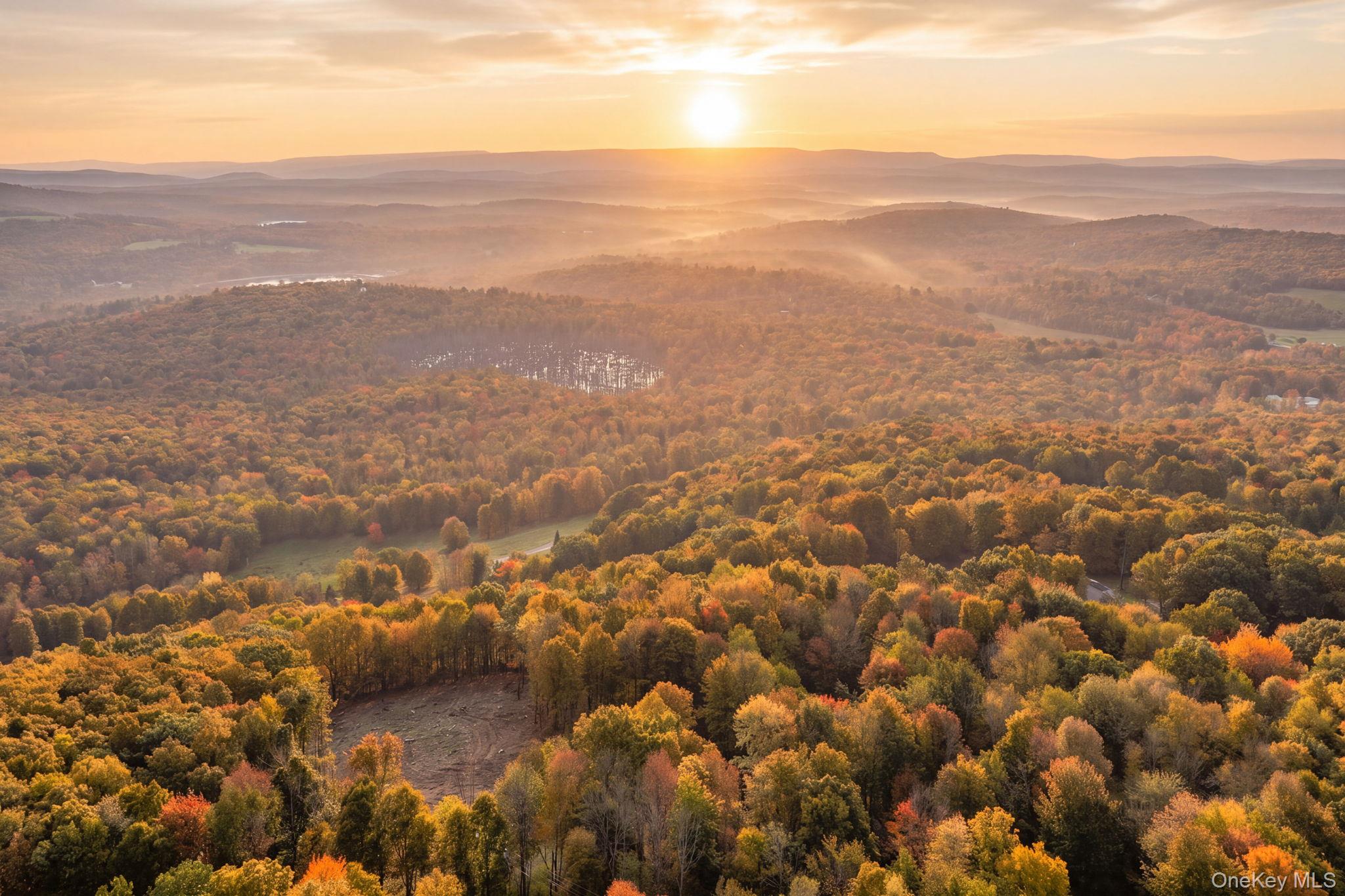 114 Skyline Drive