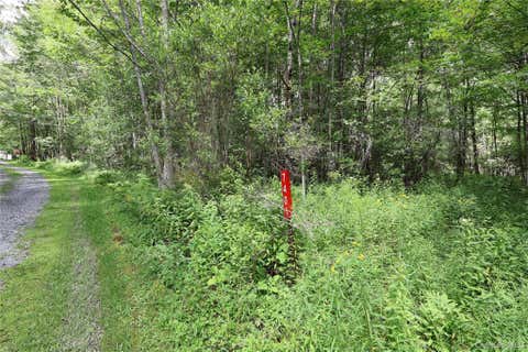 Vacant Land For Sale - 7401 Millbrook Road<br/> Arkville, NY 12406
