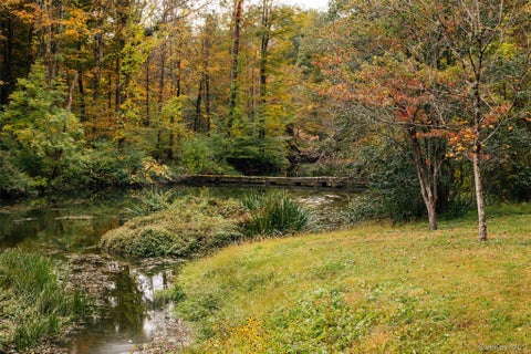 Tiny photo for Rhinebeck, NY 12572 (MLS # 1054073)