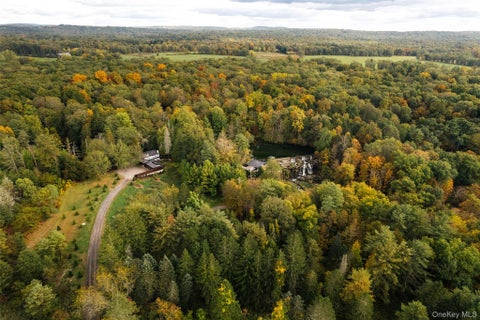 Tiny photo for Rhinebeck, NY 12572 (MLS # 1054073)