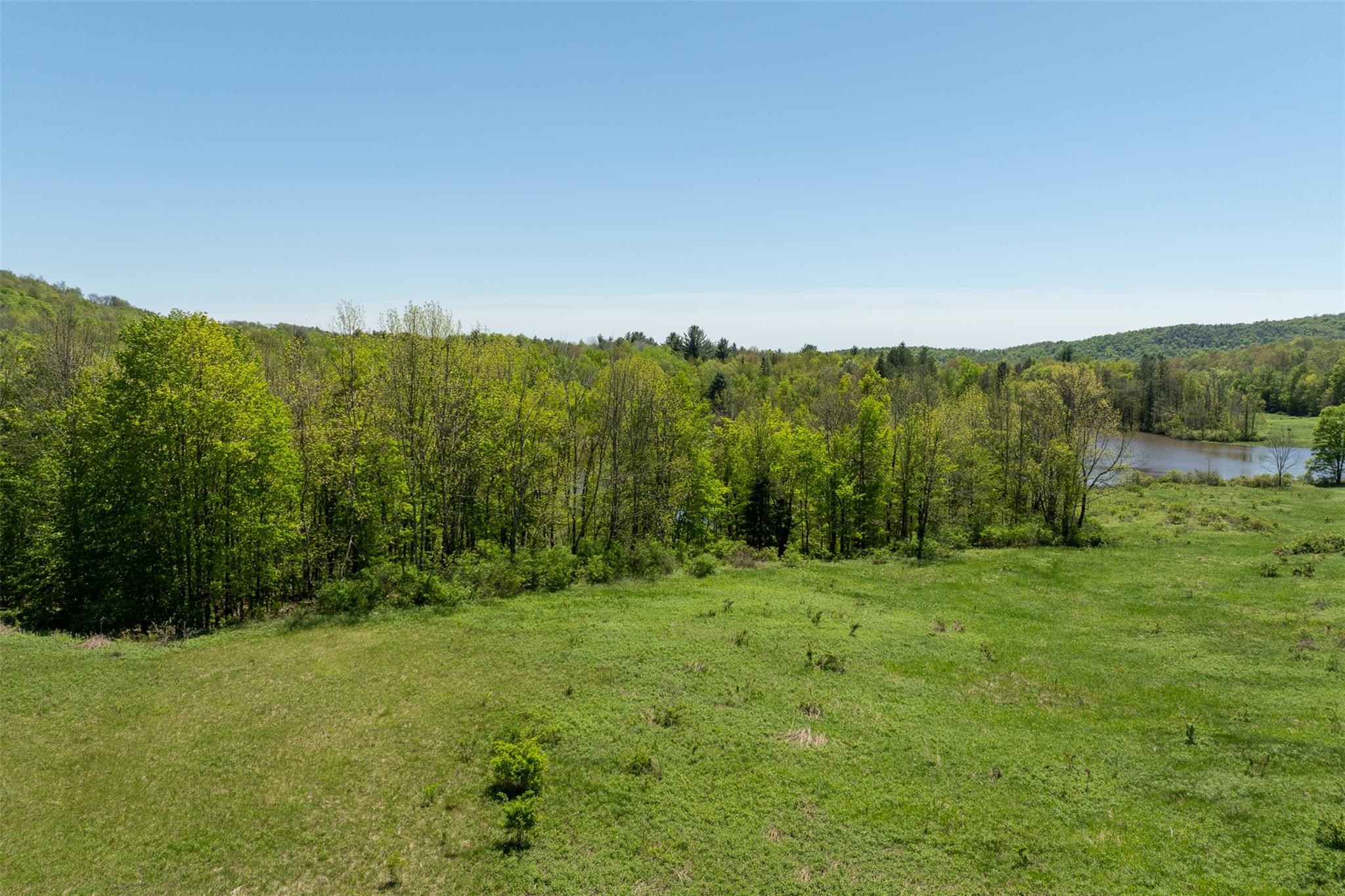 Tbd Meadow Lane, Fremont Center, New York image 9