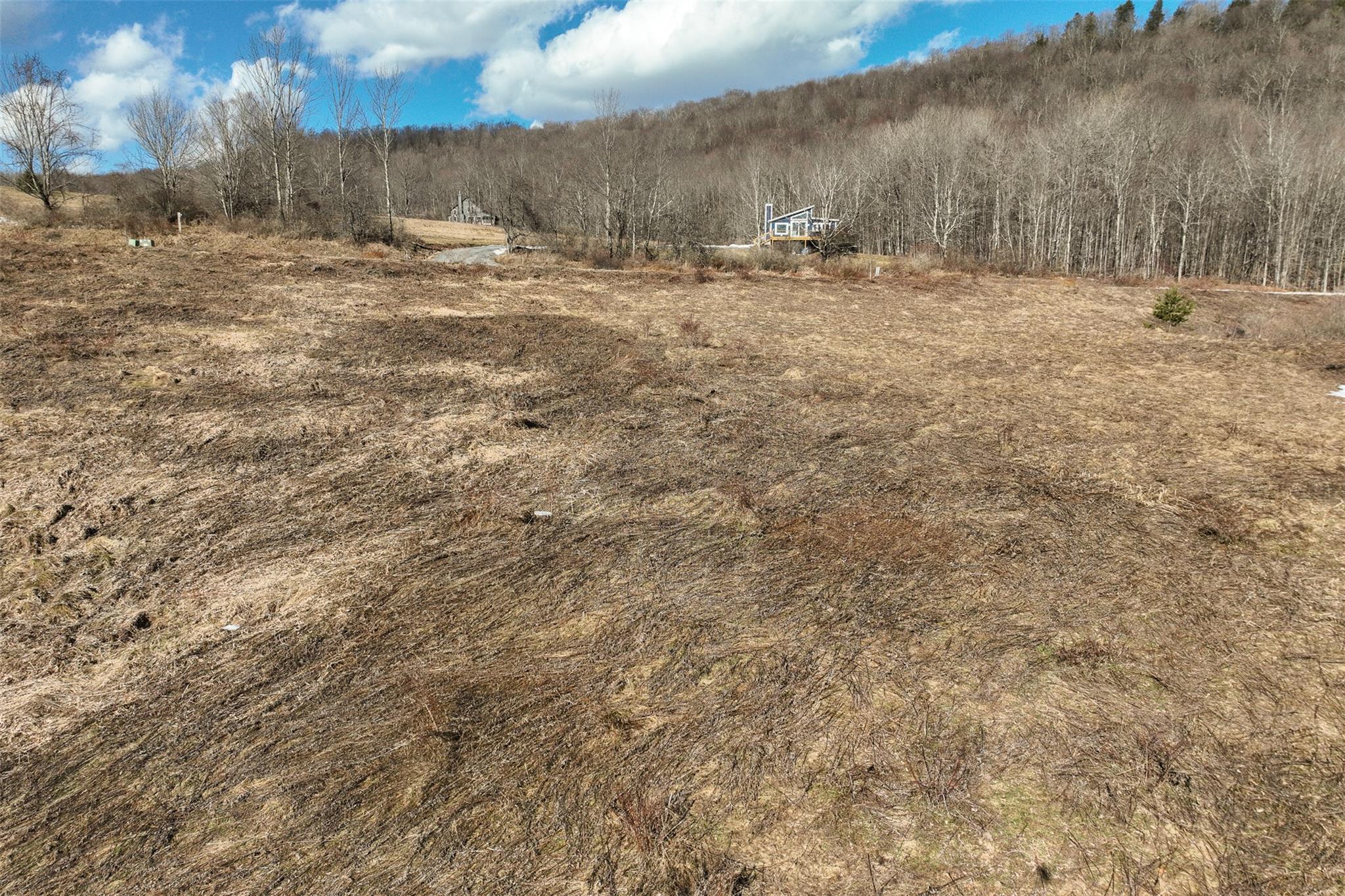 Tbd Meadow Lane, Fremont Center, New York image 4