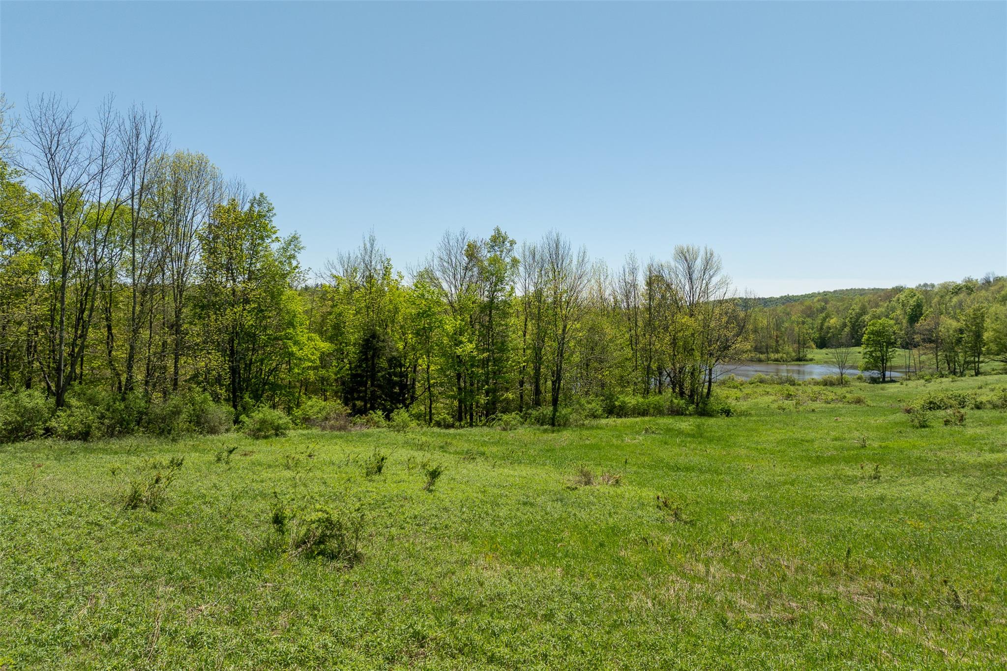 Tbd Meadow Lane, Fremont Center, New York image 8