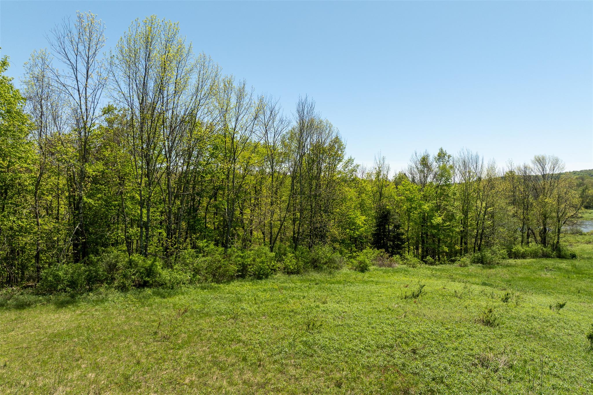 Tbd Meadow Lane, Fremont Center, New York image 7