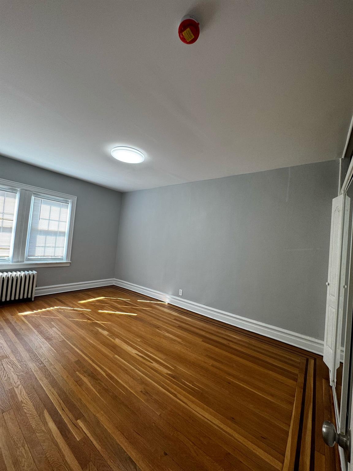 8989 Vanderveer Street, Jamaica, New York image 4