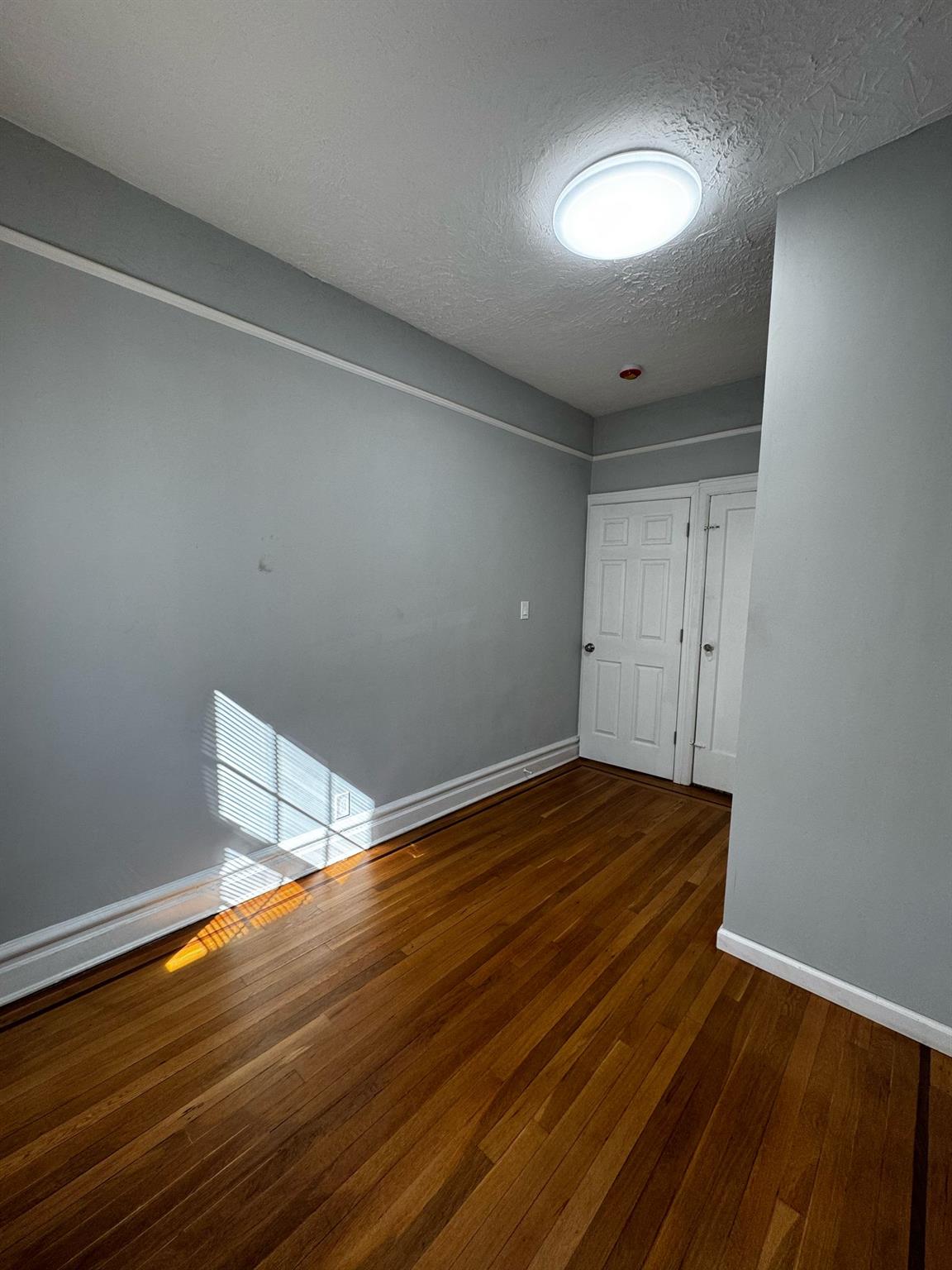 8989 Vanderveer Street, Jamaica, New York image 8