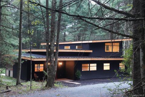 233 Goldsmith Road Jeffersonville NY 12748