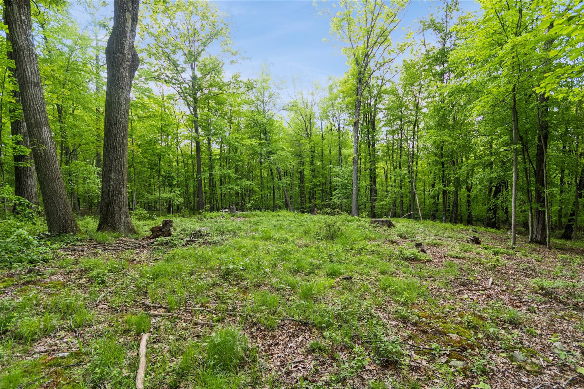 87 Crest Road, Cold Spring, New York image 6