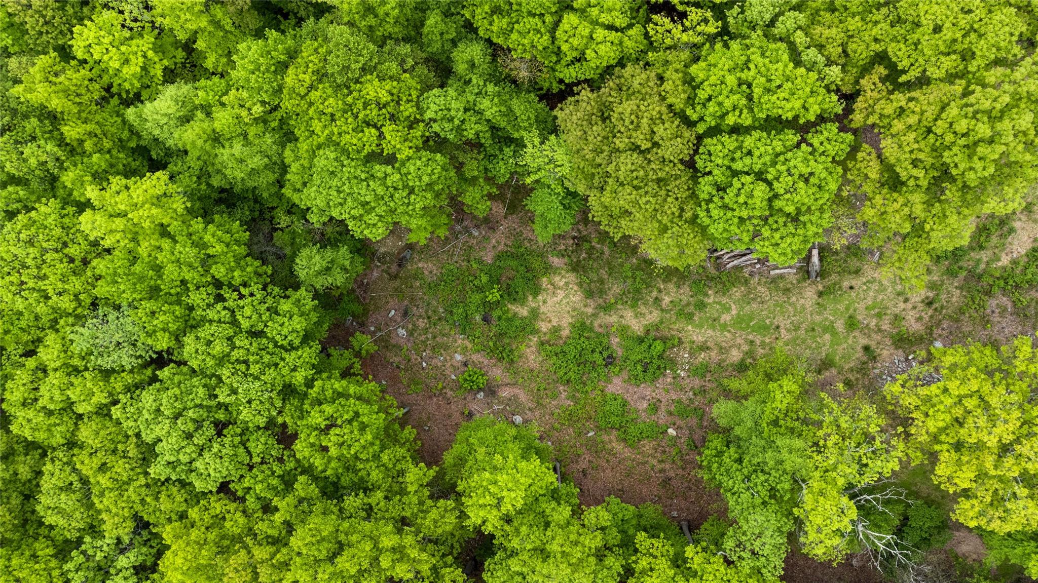 87 Crest Road, Cold Spring, New York image 12