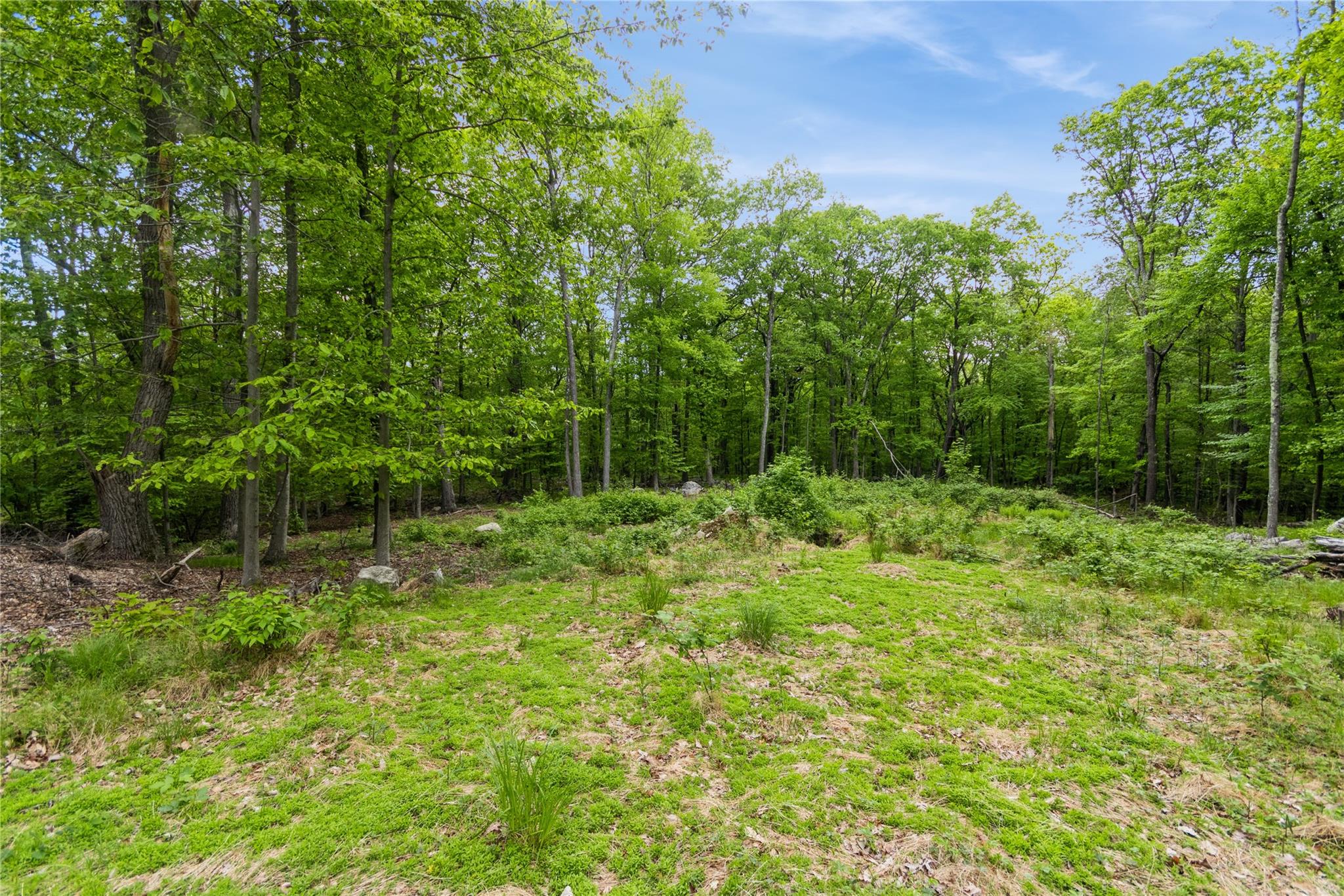 87 Crest Road, Cold Spring, New York image 7