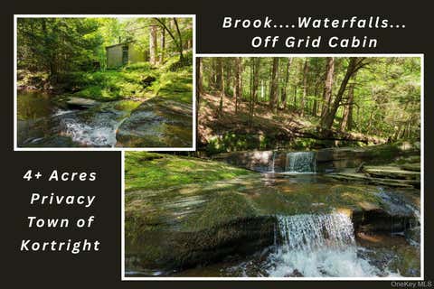 Vacant Land For Sale - LOT 35 Webster Brook Road<br/> Delaware County, Bloomville, NY 13842