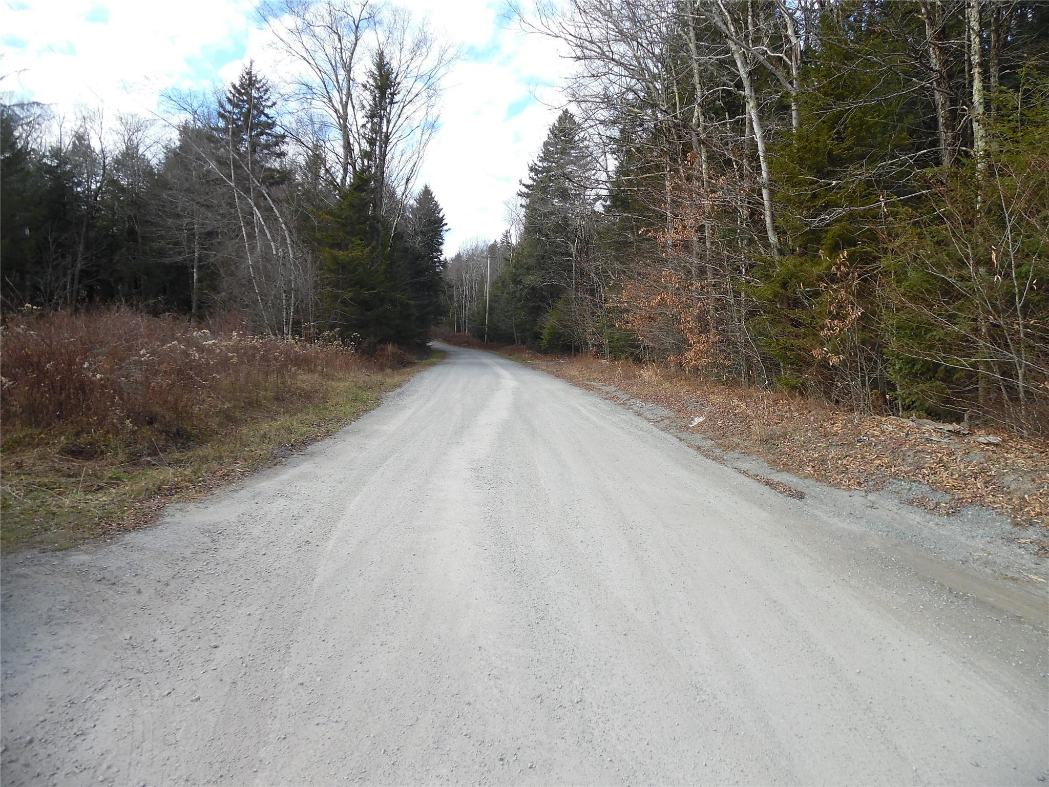 TBD Flynn Rd, Parksville, New York image 3