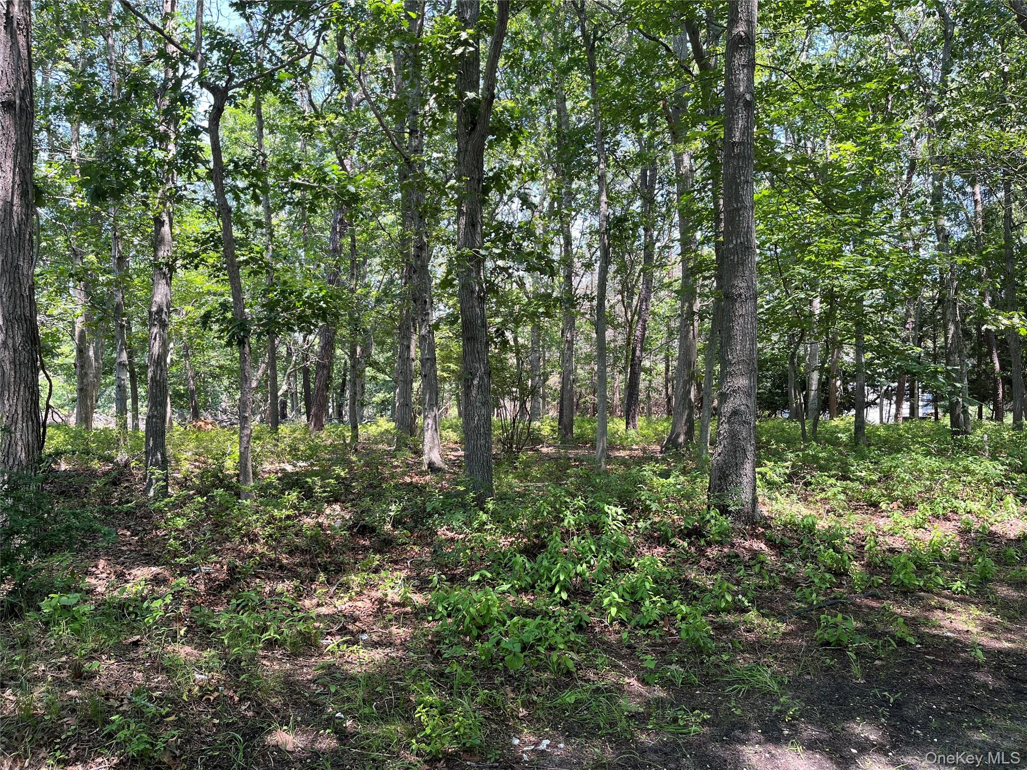 75 Montauk Highway