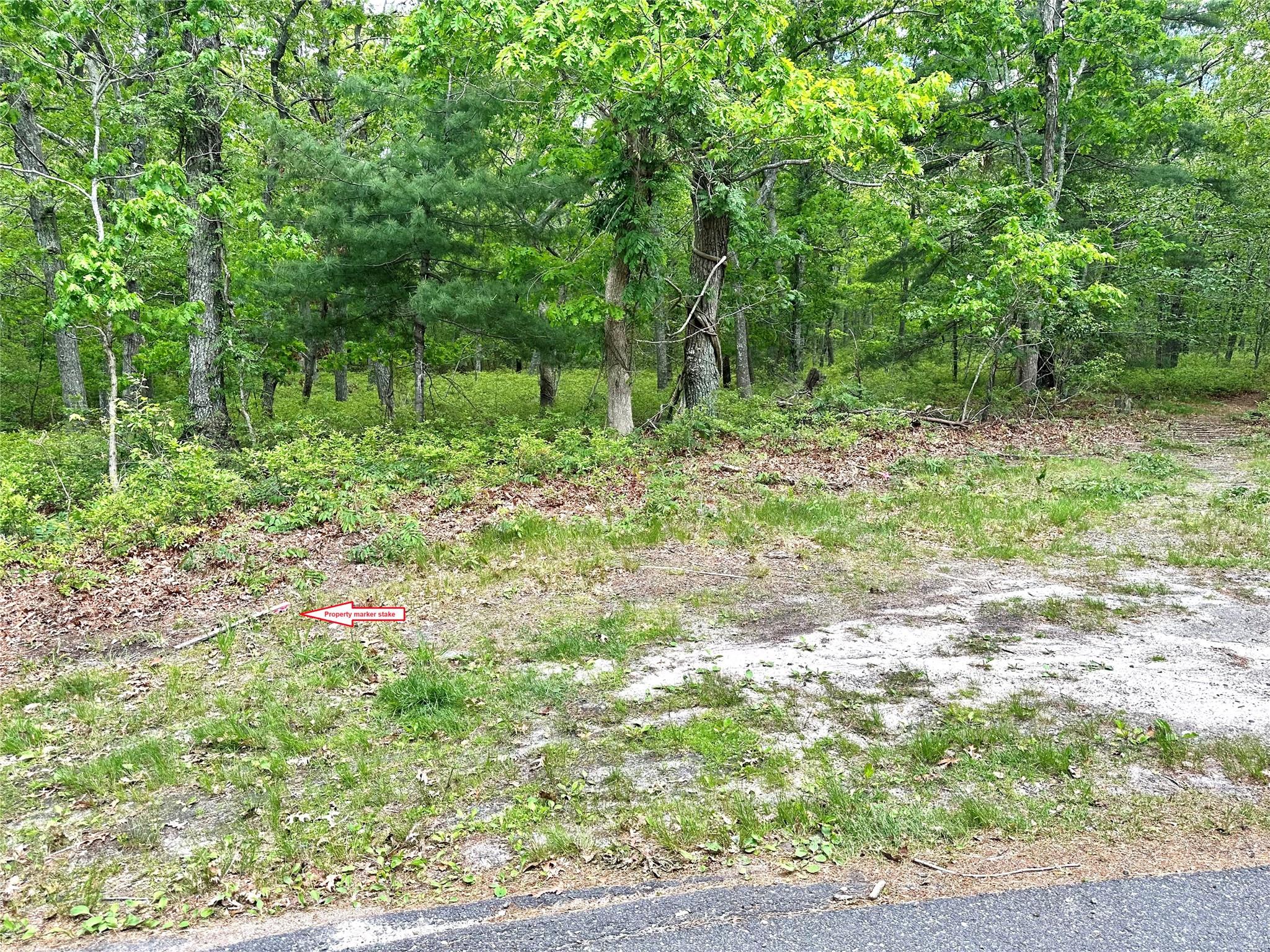 68 Big Fresh Pond Road, Southampton, Virginia image 5