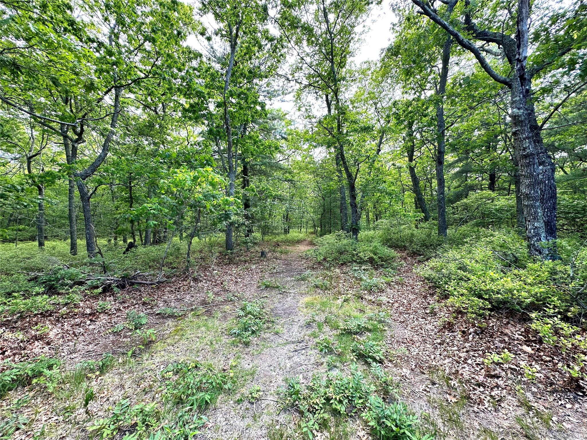 Big Fresh Pond Road, Southampton, Hamptons, NY -  - 