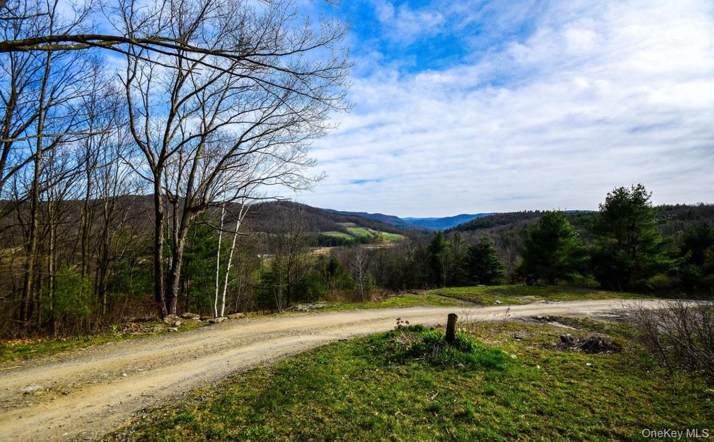 Photo of 277 Breese Hollow Road, Call Listing Agent, NY 12090 (MLS # 949593)