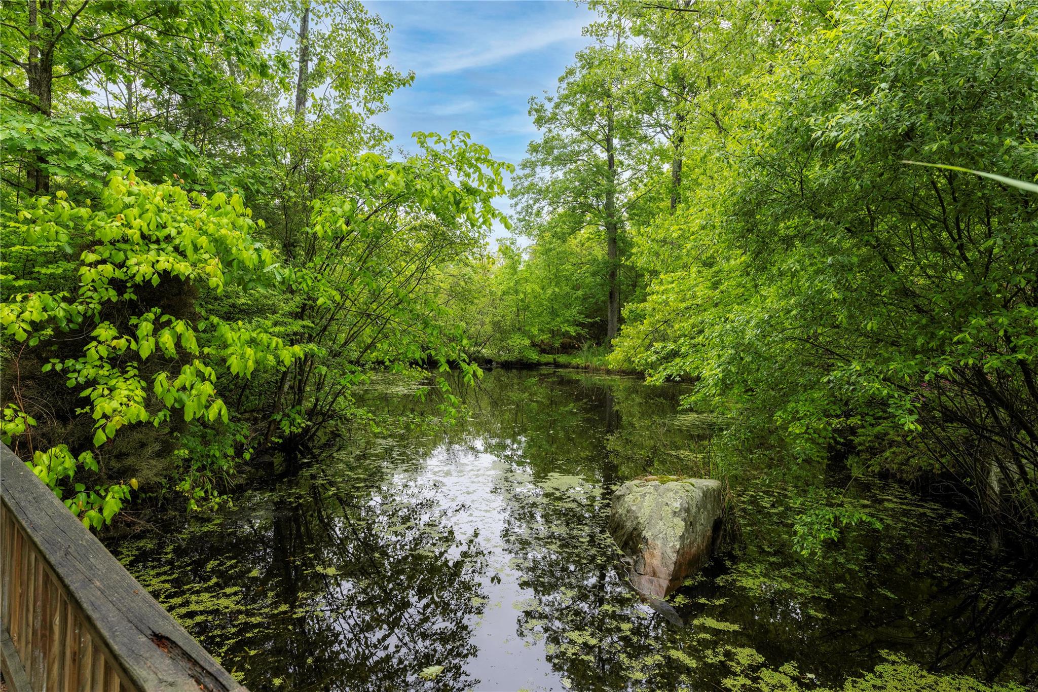 17 Stonegate Drive, Hyde Park, New York image 39