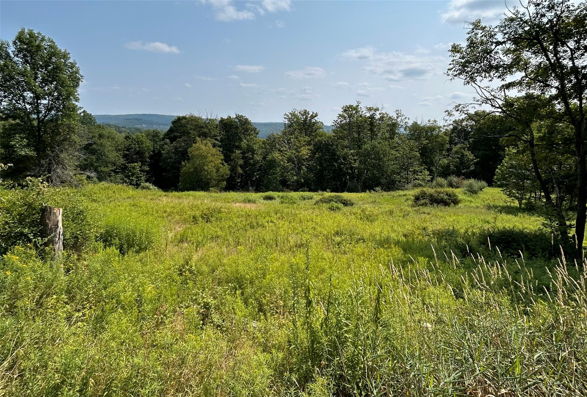 TBD Yaun Road, Livingston Manor, New York image 4