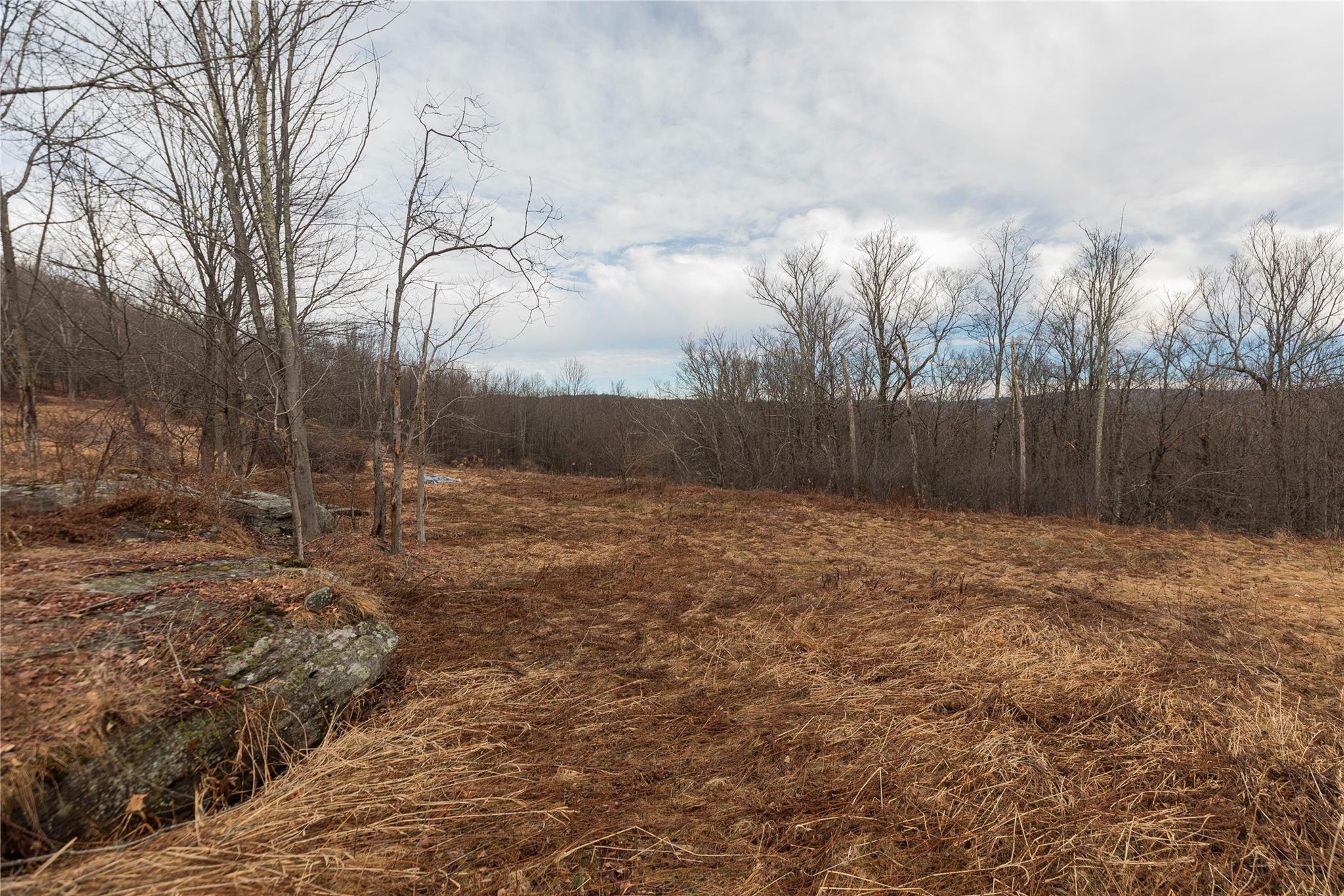 TBD Yaun Road, Livingston Manor, New York image 9