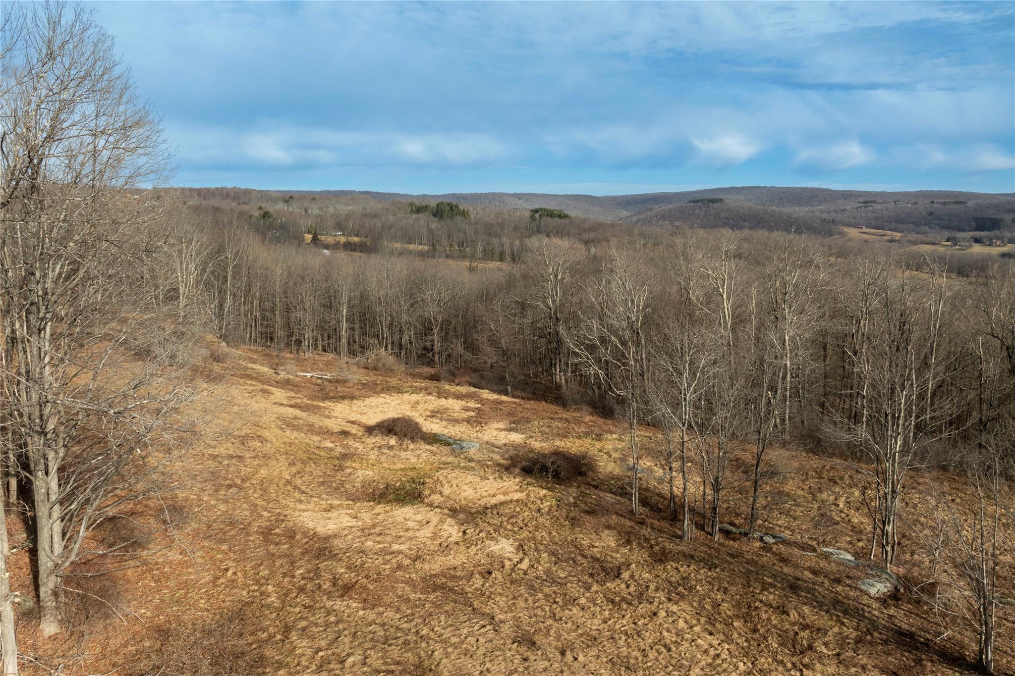 TBD Yaun Road, Livingston Manor, New York image 1