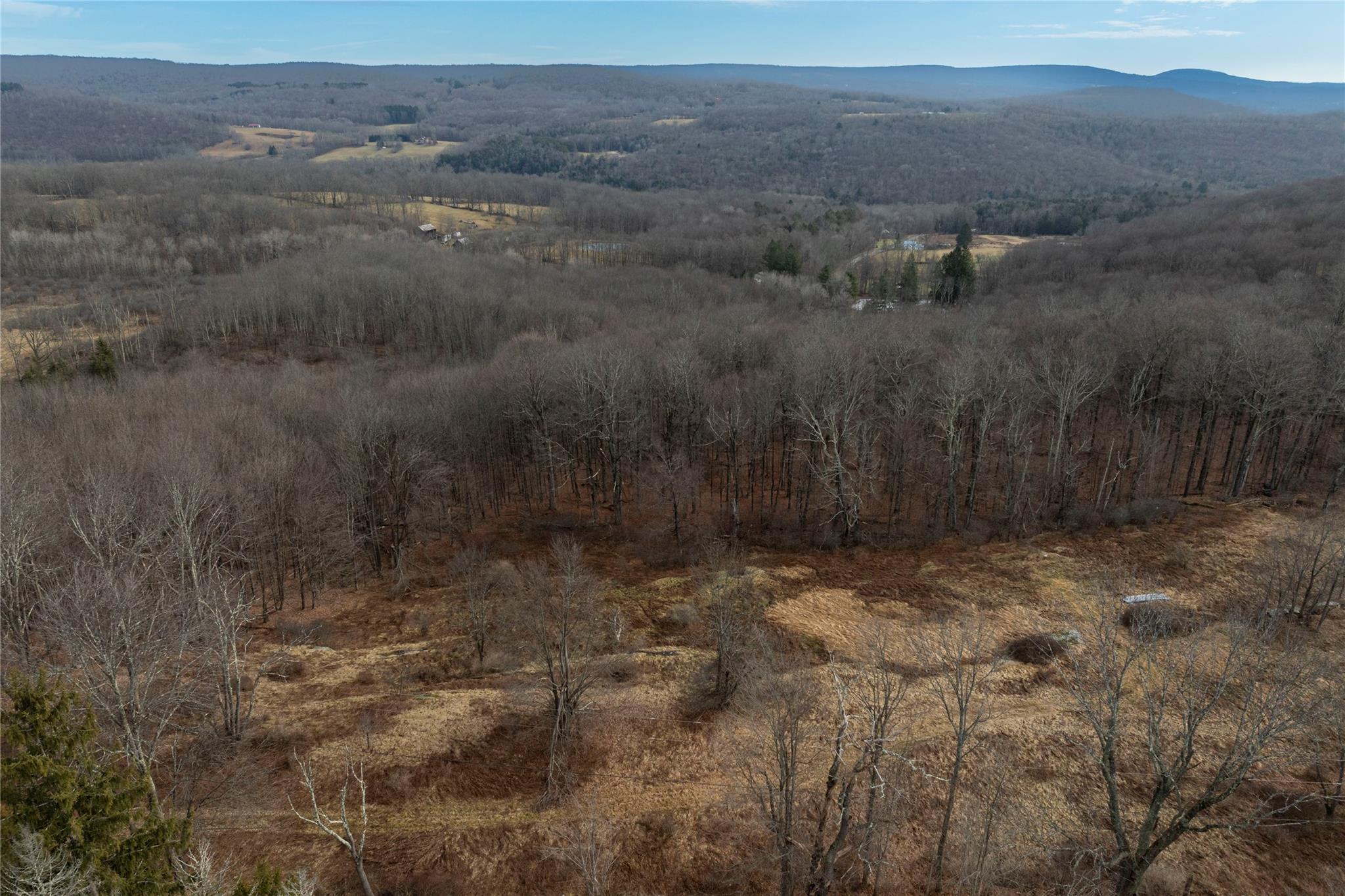 TBD Yaun Road, Livingston Manor, New York image 2