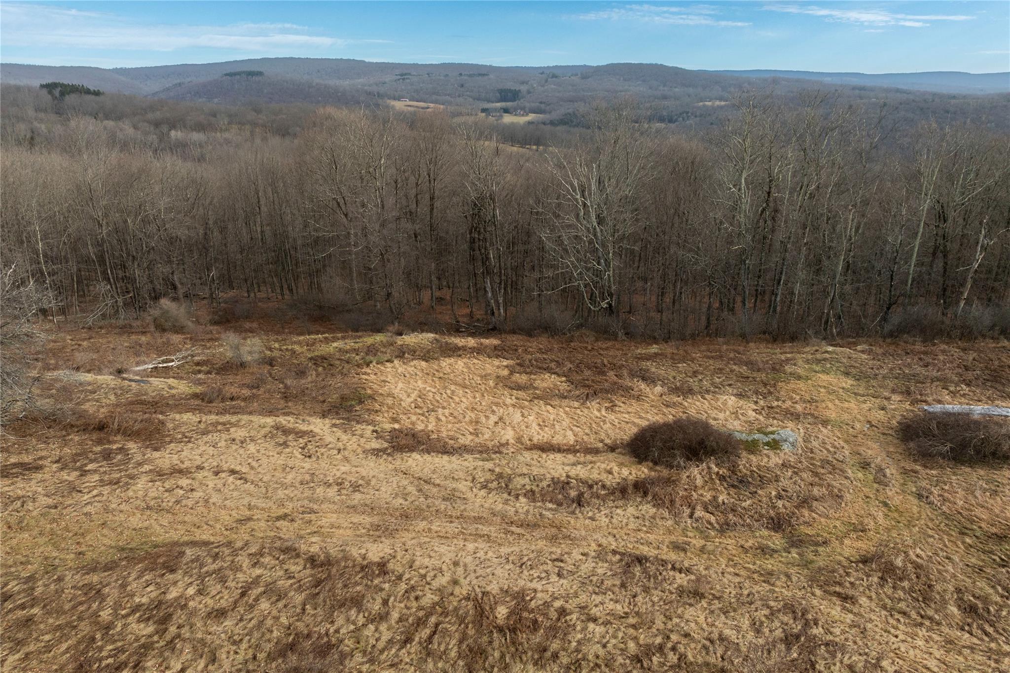 TBD Yaun Road, Livingston Manor, New York image 7