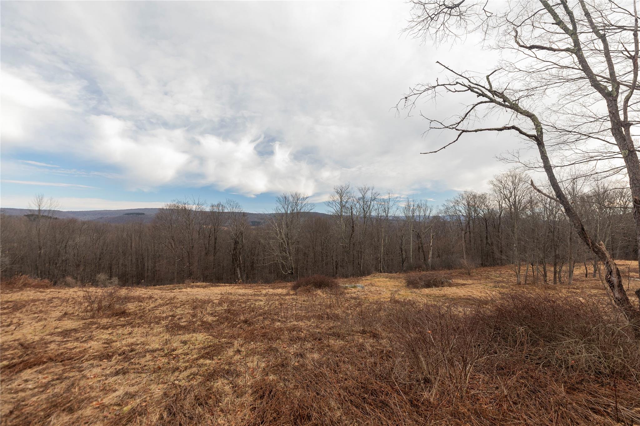 TBD Yaun Road, Livingston Manor, New York image 8