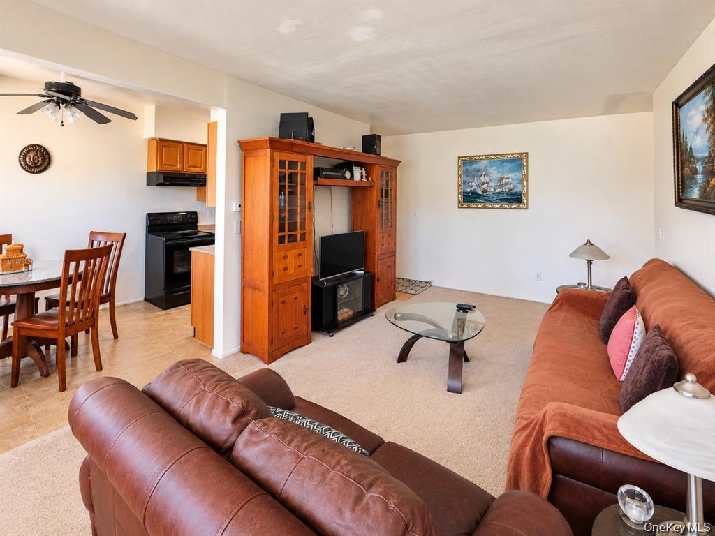 50 Cromwell Terrace 6