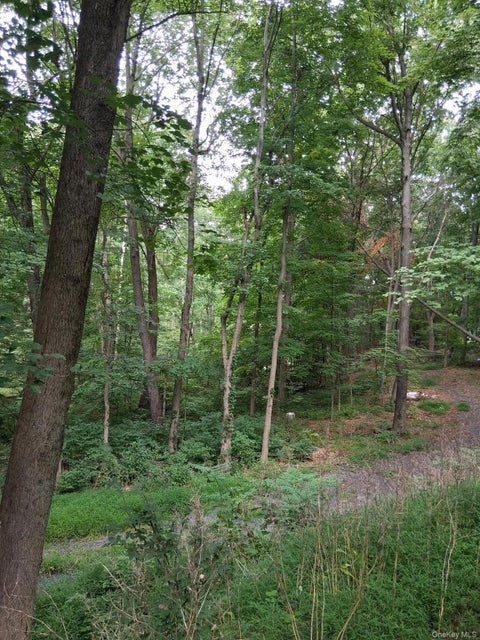 Vacant Land For Sale - Museum Village Road<br/> Monroe, NY 10914
