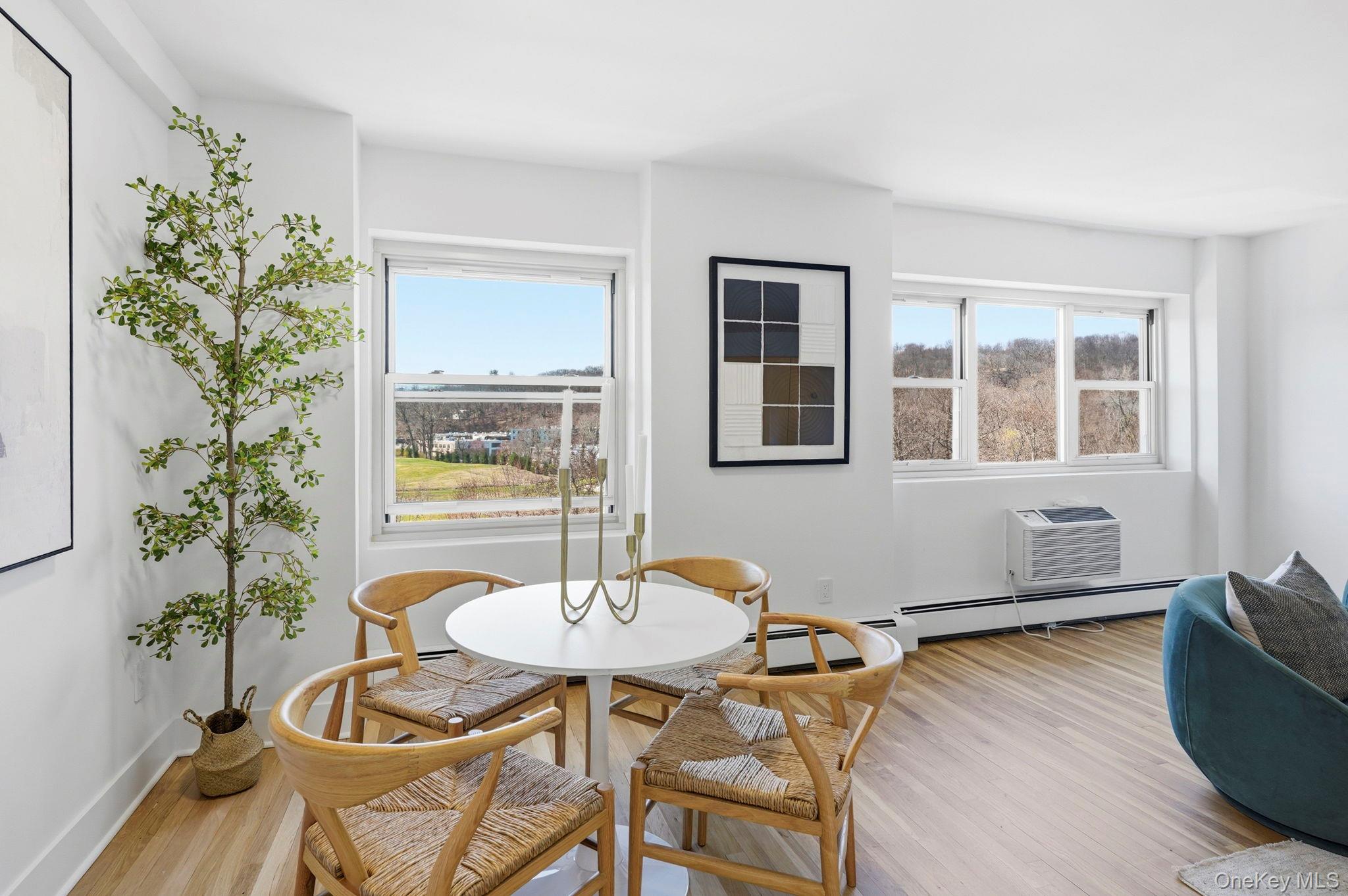 80 E Hartsdale Avenue 518