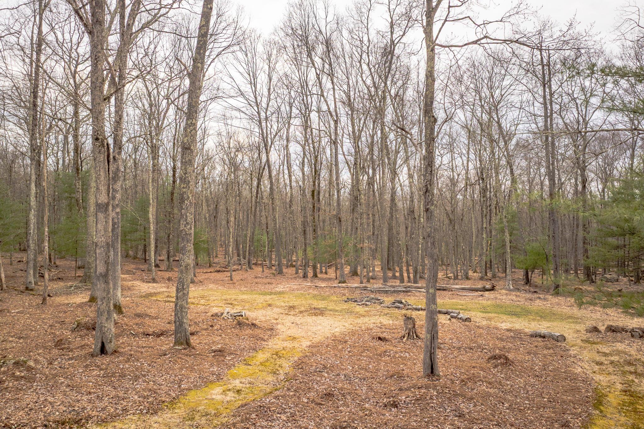 83 Split Rock Drive, Barryville, New York image 40