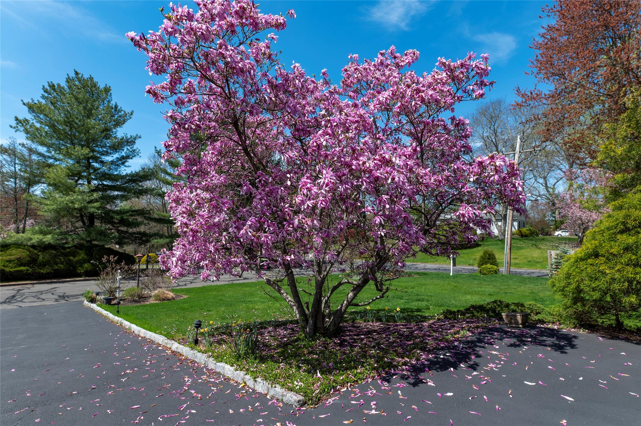 1 Regina Court, Blauvelt, New York image 6