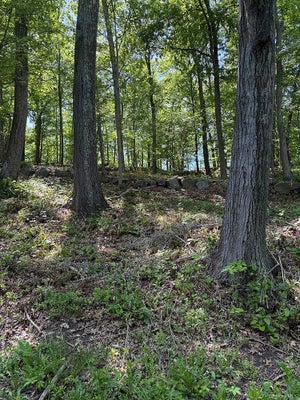 98 ICE POND RD, BREWSTER, NY 10509 - Image a54ef8bcdc060df049b10da6332edea0/409241483