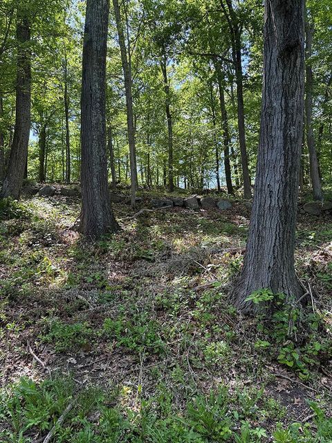 Vacant Land For Sale - 98 Ice Pond Road<br/> Brewster, NY 10509