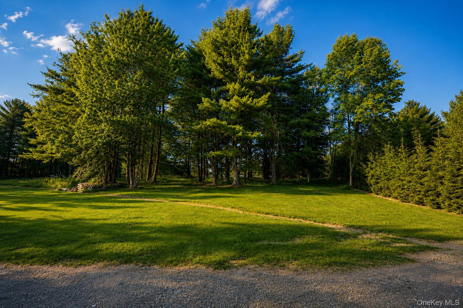 266 Lt Brender Hwy
