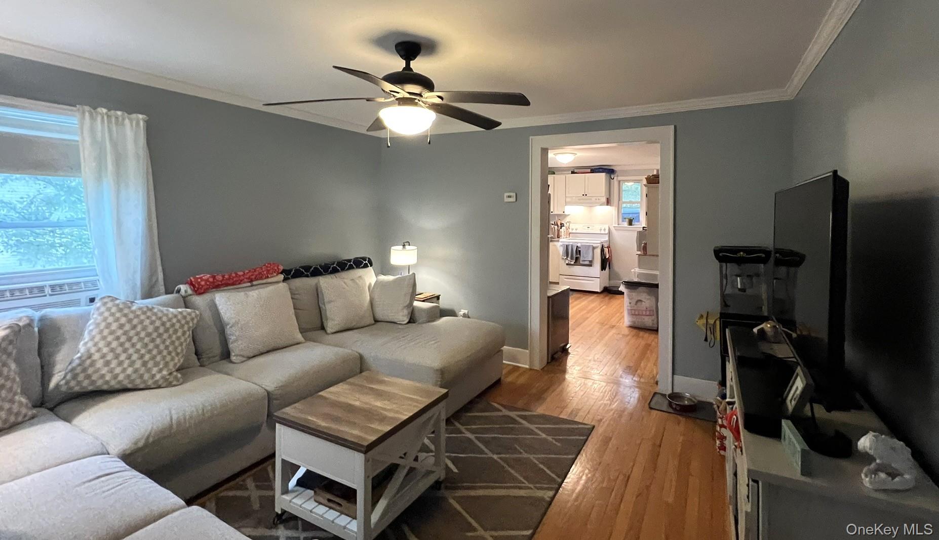 11 Amity Road
