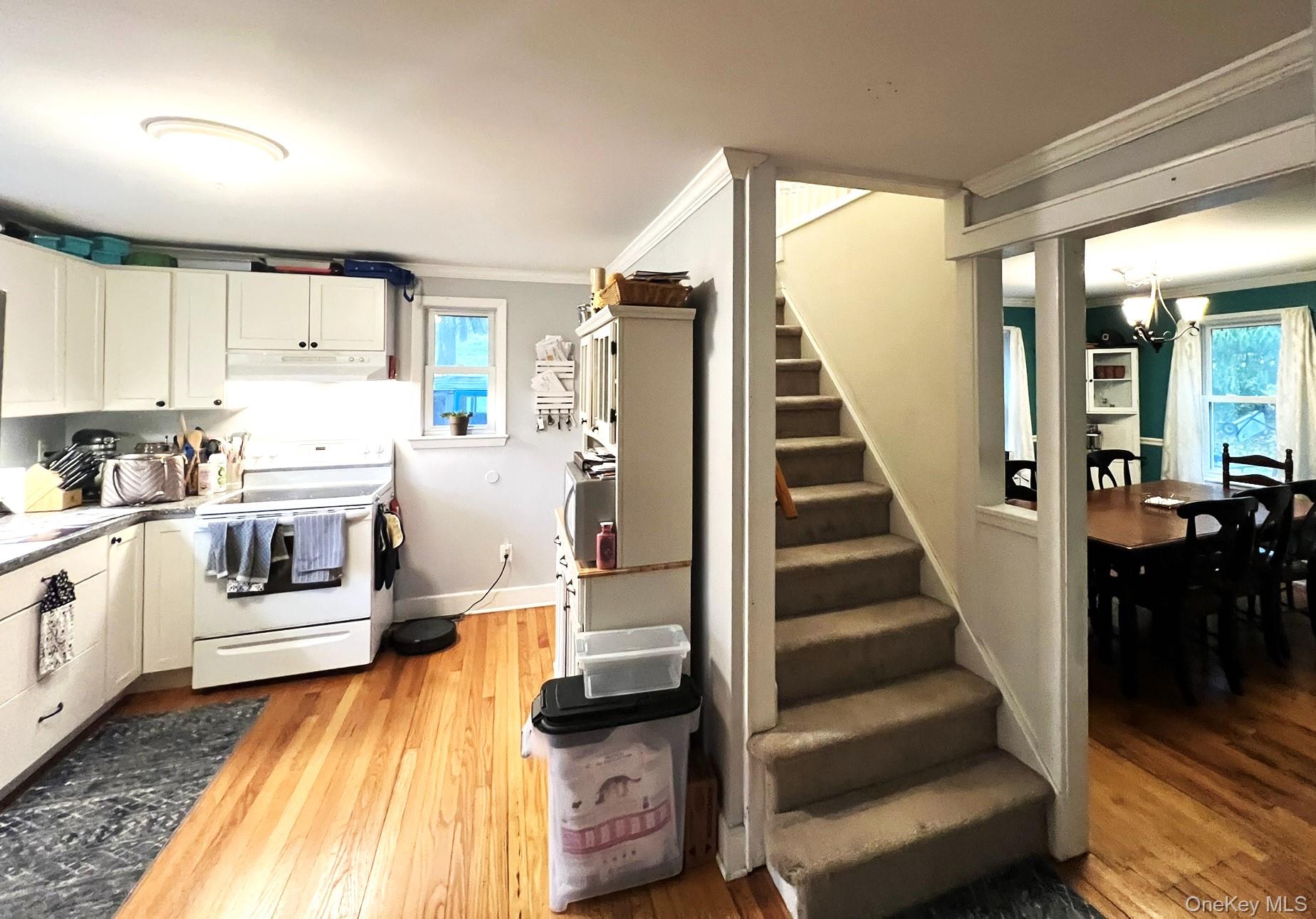 11 Amity Road