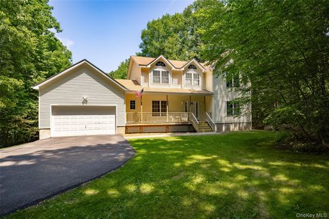 Homes For Sale - 26 E Forest Trail<br/> Dutchess County, Holmes, NY 12531